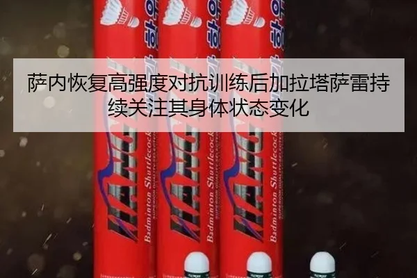 萨内恢复高强度对抗训练后加拉塔萨雷持续关注其身体状态变化
